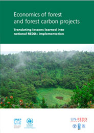 Economics of forest and forest carbon projects
